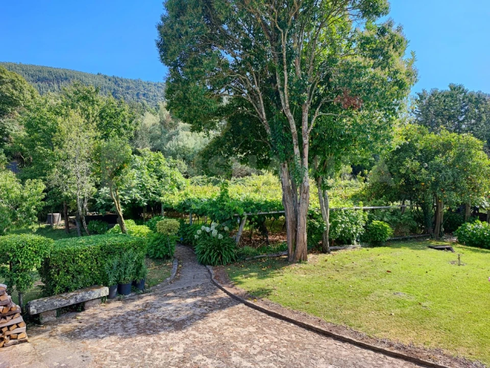 Quinta T7 para Venda em Vilar de Mouros Foto 45