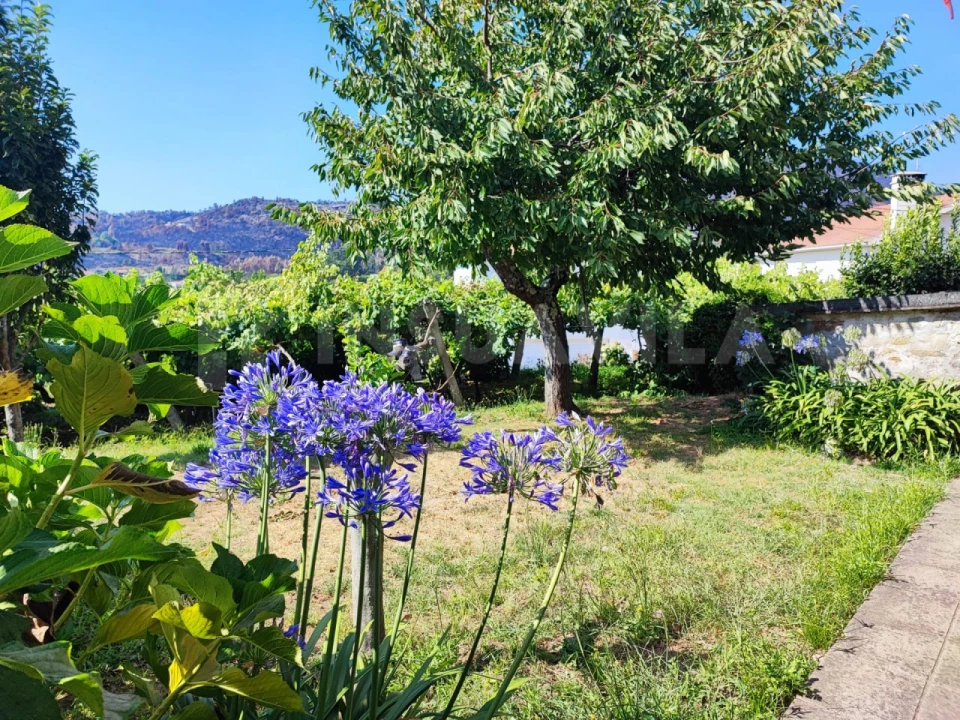 Quinta T7 para Venda em Vilar de Mouros Foto 46