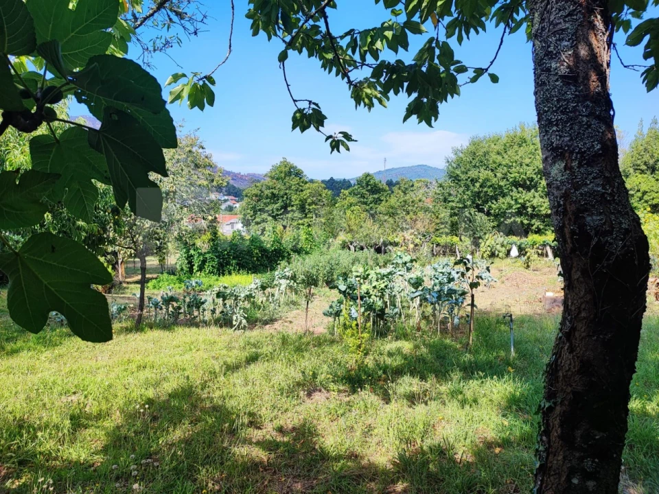 Quinta T7 para Venda em Vilar de Mouros Foto 52