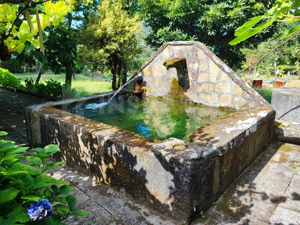 Quinta T7 para Venda em Vilar de Mouros Foto 53