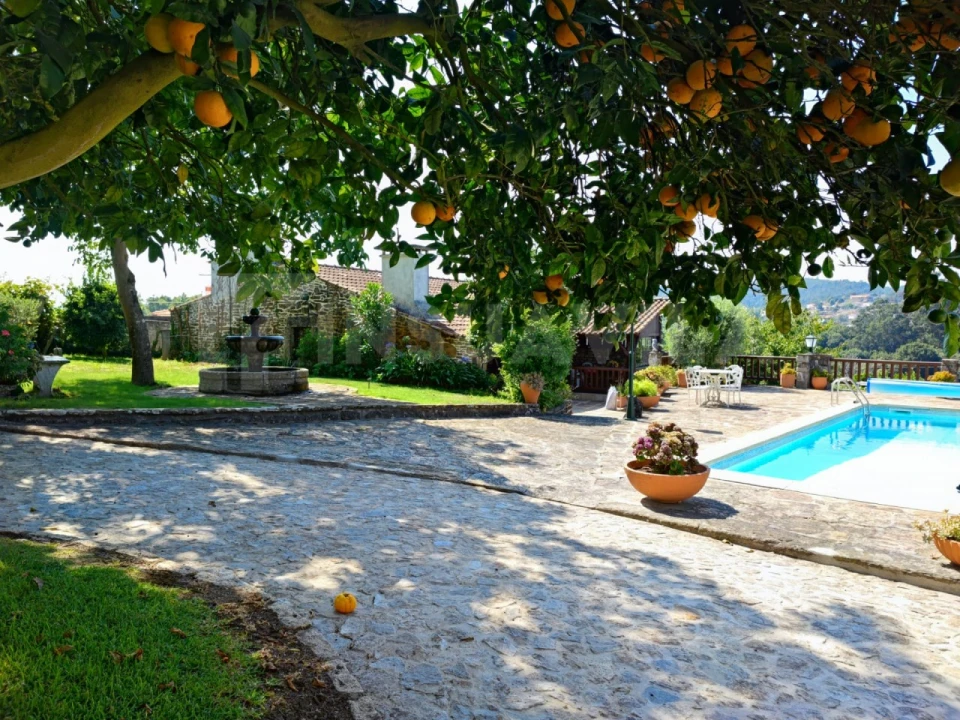 Quinta T7 para Venda em Vilar de Mouros Foto 55