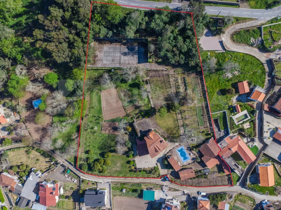 Quinta T7 para Venda em Vilar de Mouros Foto 3