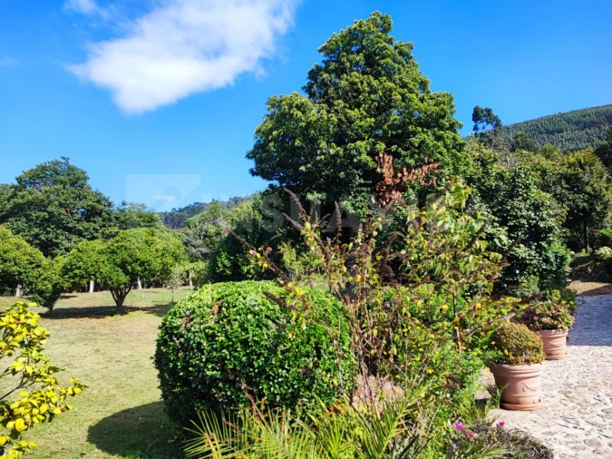 Quinta T7 para Venda em Vilar de Mouros Foto 44