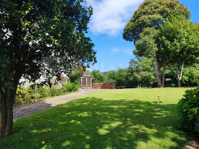 Quinta T7 para Venda em Vilar de Mouros Foto 47