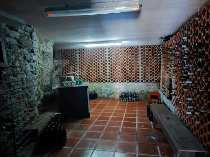 Quinta T7 para Venda em Vilar de Mouros Foto 60