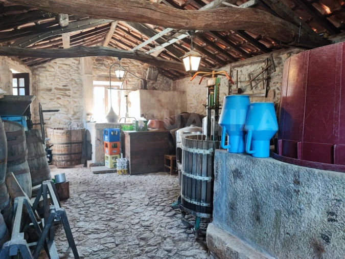 Quinta T7 para Venda em Vilar de Mouros Foto 61