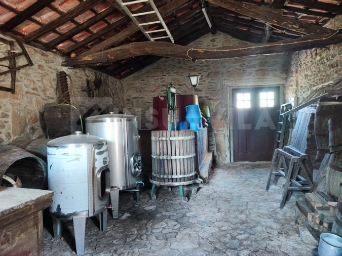 Quinta T7 para Venda em Vilar de Mouros Foto 62