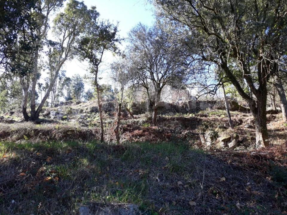 Moradia T3 para Venda em Venade e Azevedo Foto 2