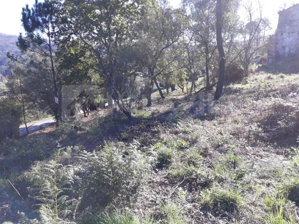 Moradia T3 para Venda em Venade e Azevedo Foto 7