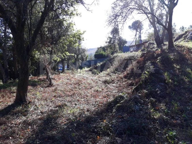 Moradia T3 para Venda em Venade e Azevedo Foto 3