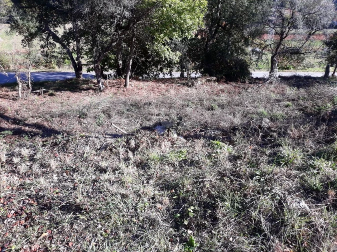 Moradia T3 para Venda em Venade e Azevedo Foto 6