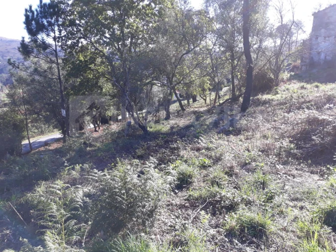 Moradia T3 para Venda em Venade e Azevedo Foto 7