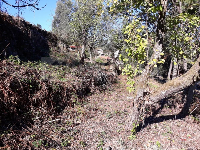 Moradia T3 para Venda em Venade e Azevedo Foto 26