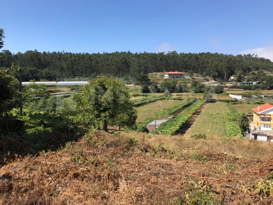 Moradia T2 para Venda em Sopo Foto 5