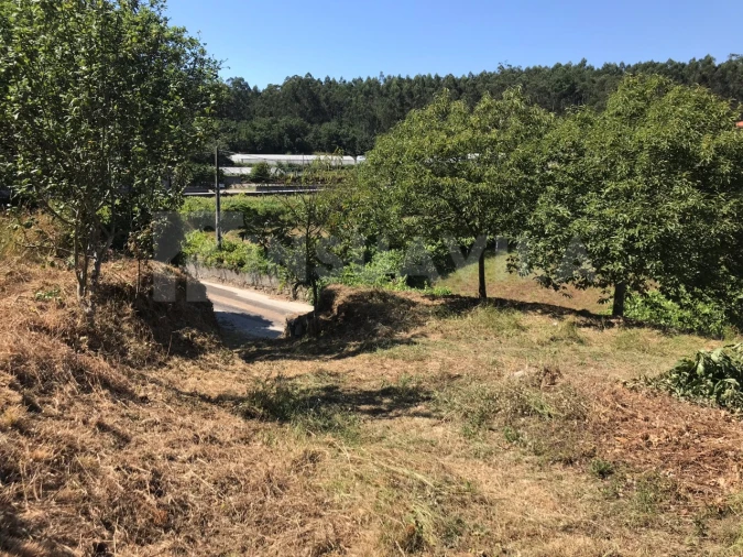 Moradia T2 para Venda em Sopo Foto 21