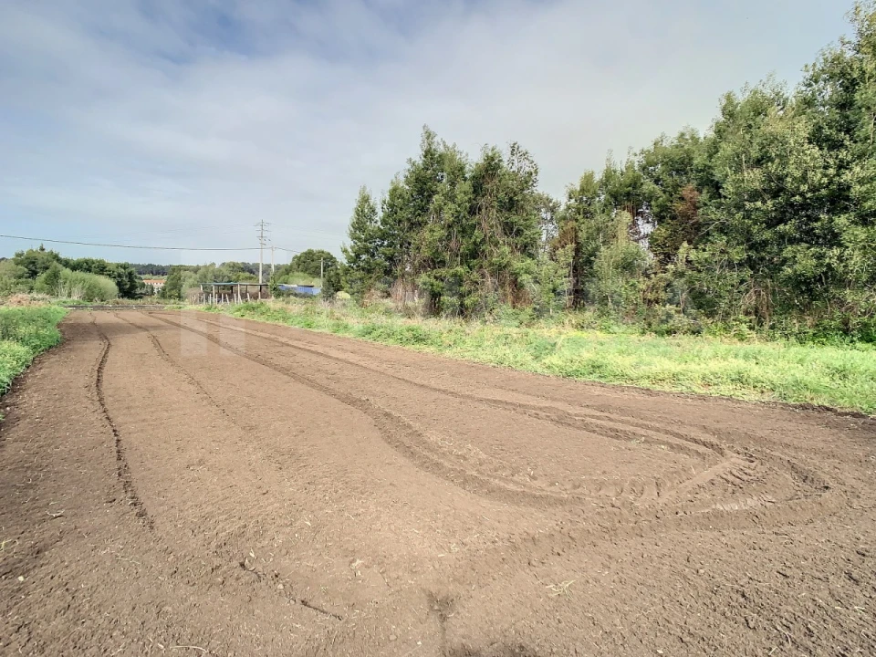 Terreno para Venda em Moledo e Cristelo Foto 10