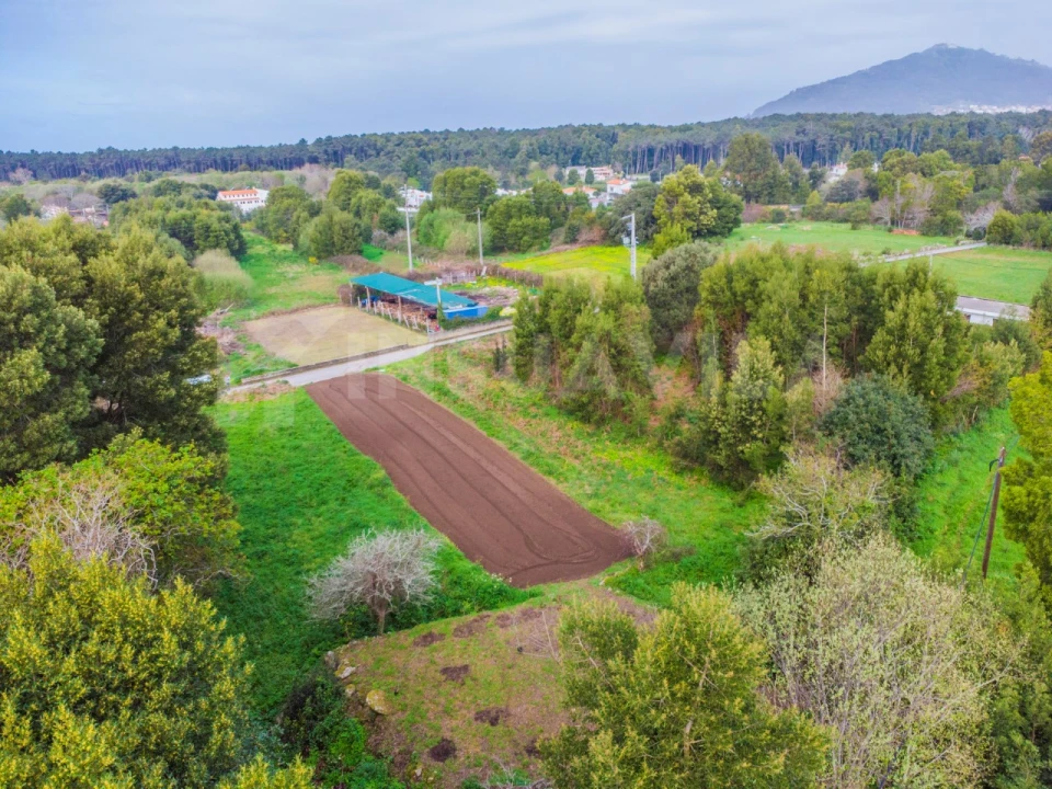 Terreno para Venda em Moledo e Cristelo Foto 11