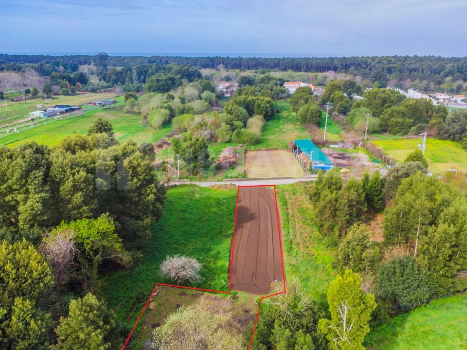 Terreno para Venda em Moledo e Cristelo Foto 1