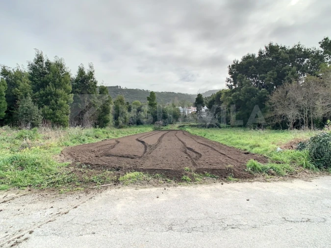 Terreno para Venda em Moledo e Cristelo Foto 5