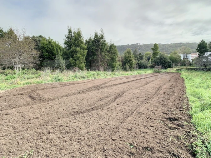 Terreno para Venda em Moledo e Cristelo Foto 7