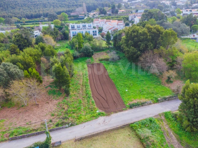 Terreno para Venda em Moledo e Cristelo Foto 12