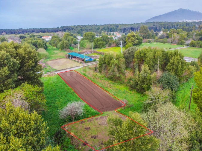 Terreno para Venda em Moledo e Cristelo Foto 2