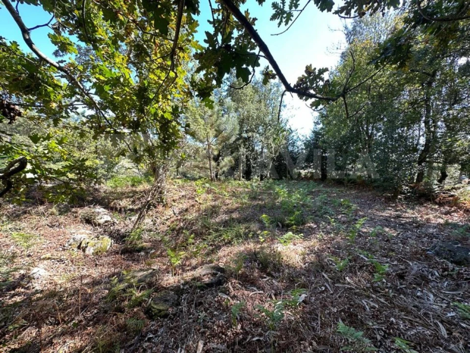Terreno para Venda em Gondar e Orbacém Foto 5