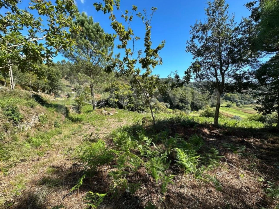 Terreno para Venda em Gondar e Orbacém Foto 6