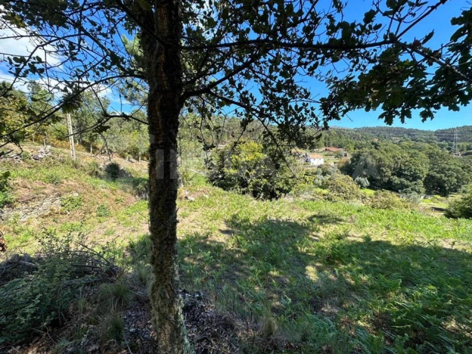 Terreno para Venda em Gondar e Orbacém Foto 8