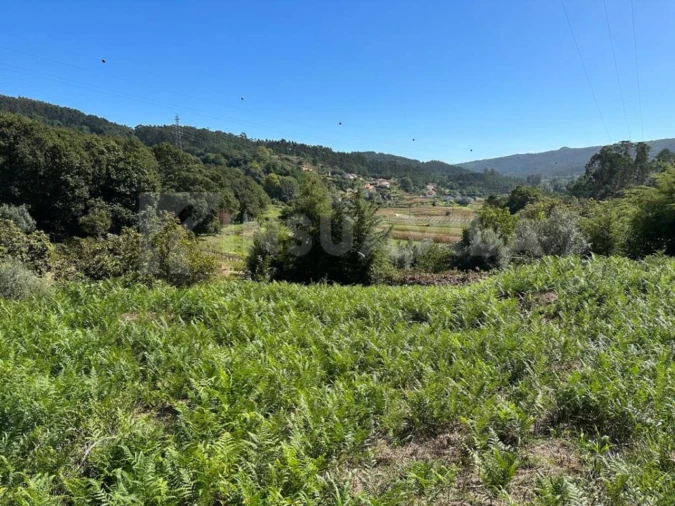 Terreno para Venda em Gondar e Orbacém Foto 4