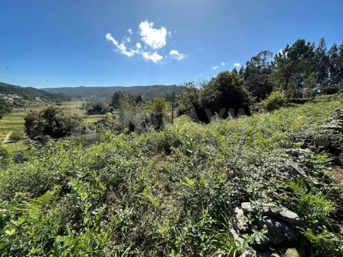 Terreno para Venda em Gondar e Orbacém Foto 9