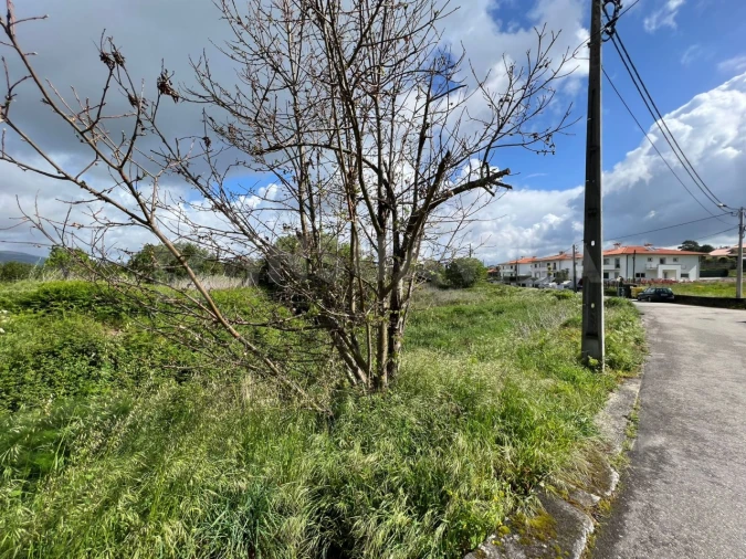 Terreno para Venda em Reboreda e Nogueira Foto 6