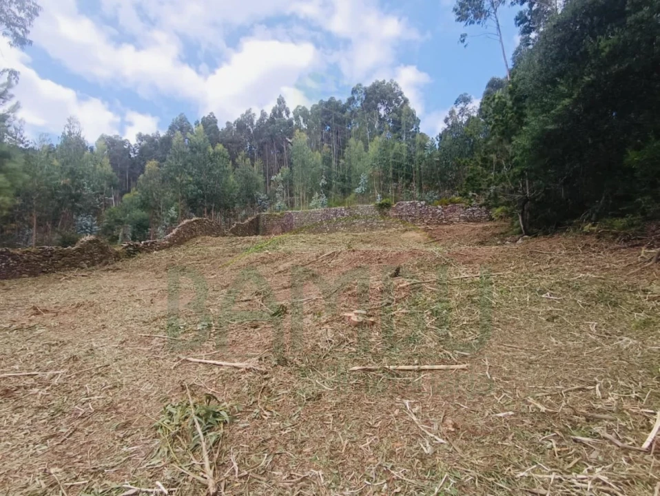Terreno para Venda em Caminha (Matriz) e Vilarelho Foto 5
