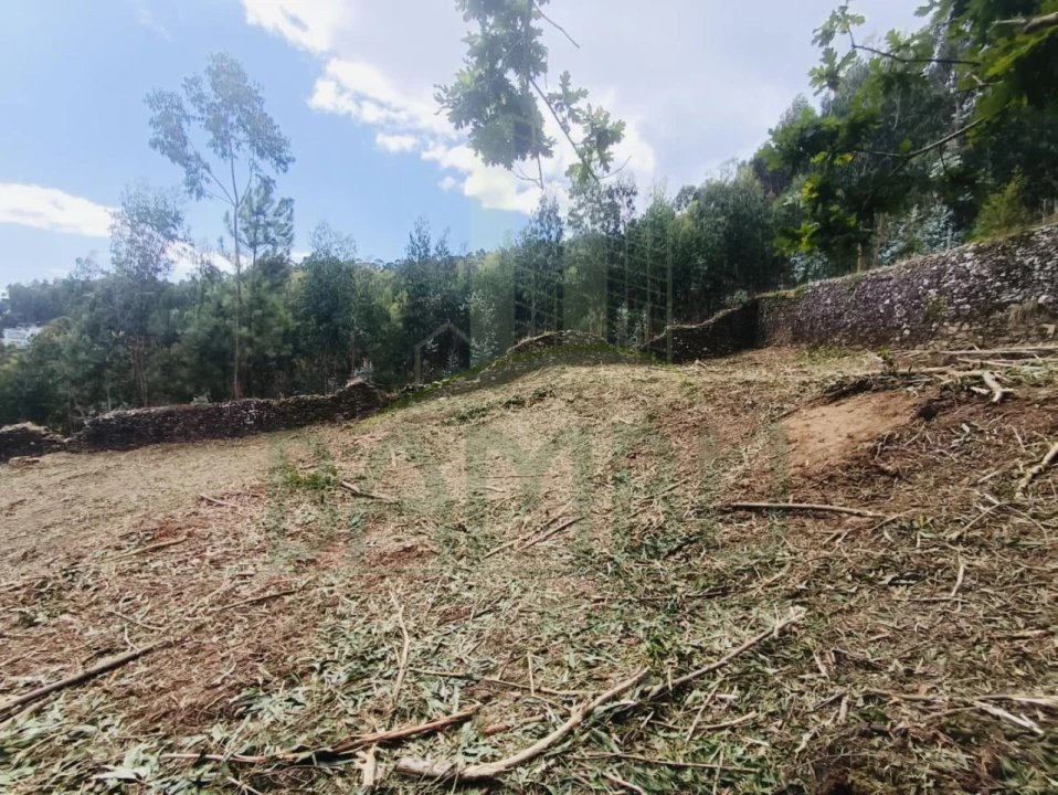 Terreno para Venda em Caminha (Matriz) e Vilarelho Foto 7