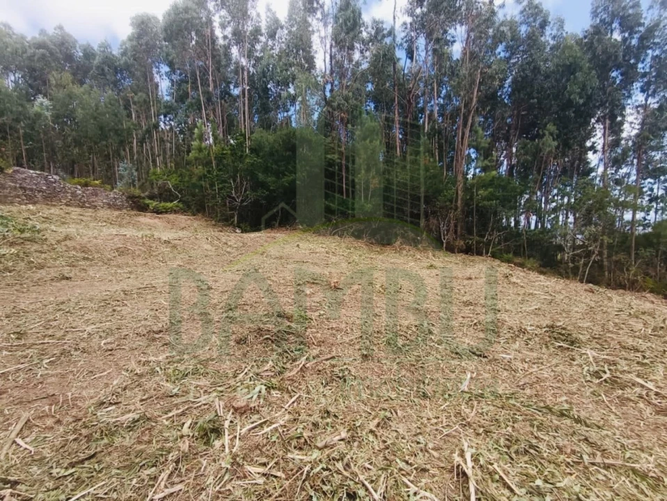 Terreno para Venda em Caminha (Matriz) e Vilarelho Foto 9