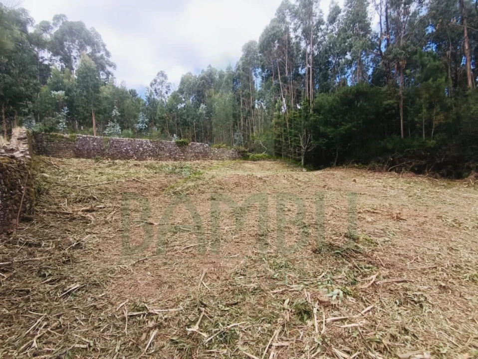 Terreno para Venda em Caminha (Matriz) e Vilarelho Foto 10
