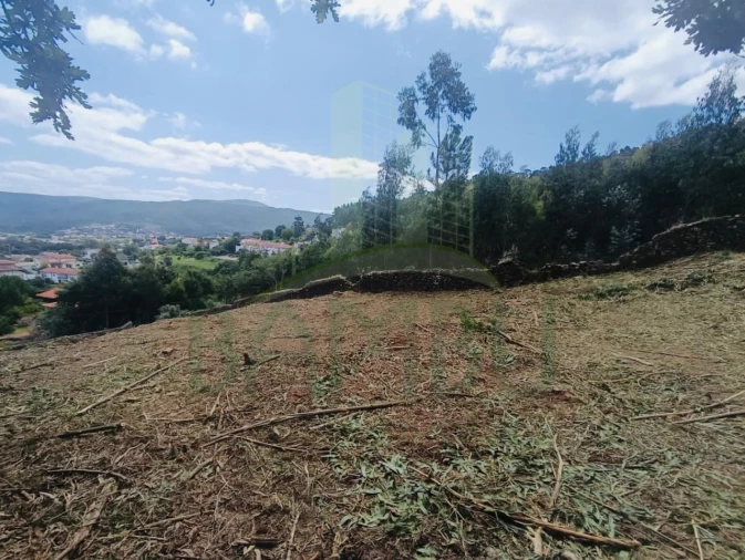 Terreno para Venda em Caminha (Matriz) e Vilarelho Foto 8