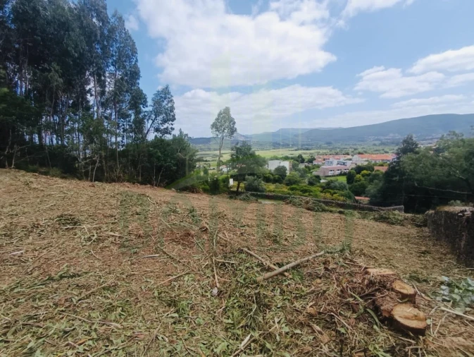 Terreno para Venda em Caminha (Matriz) e Vilarelho Foto 11