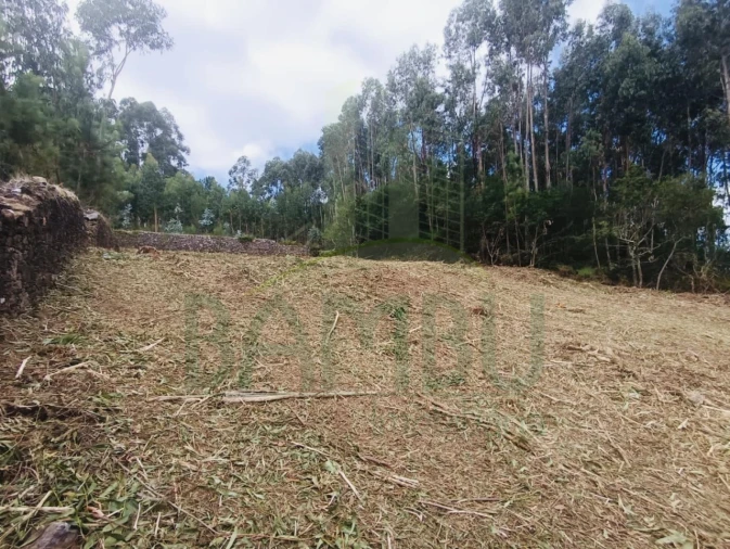 Terreno para Venda em Caminha (Matriz) e Vilarelho Foto 12