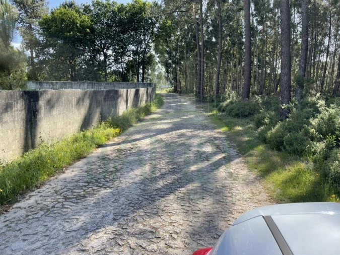 Terreno para Venda em Cerdal Foto 9