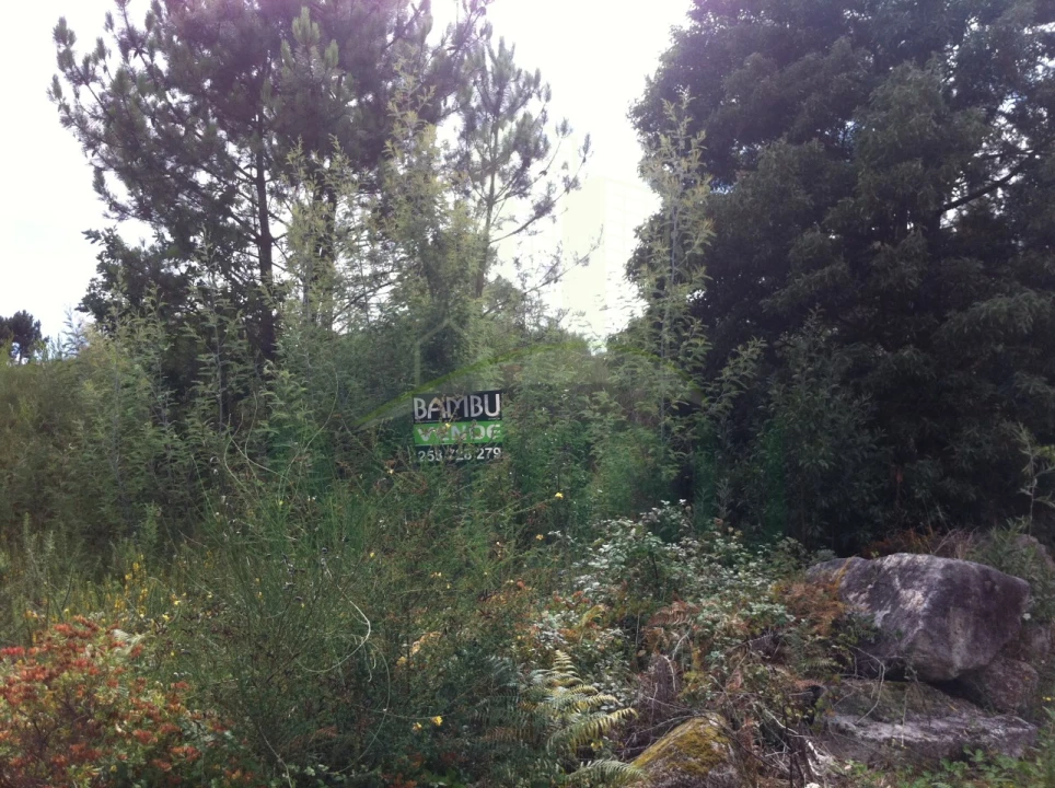 Terreno para Venda em Vilar de Mouros Foto 14