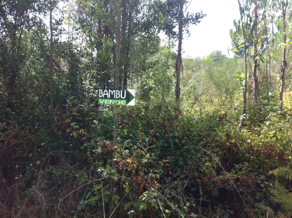 Terreno para Venda em Vilar de Mouros Foto 15