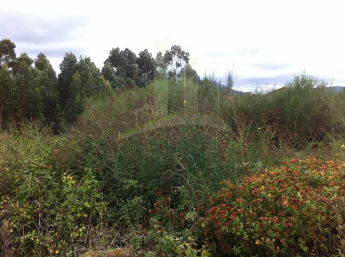 Terreno para Venda em Vilar de Mouros Foto 5