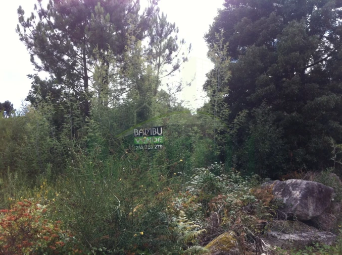 Terreno para Venda em Vilar de Mouros Foto 6