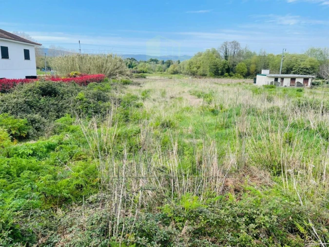 Terreno para Venda em Gondarem Foto 7