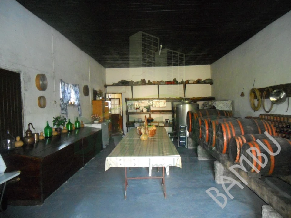 Quinta T4 para Venda em Seixas Foto 6