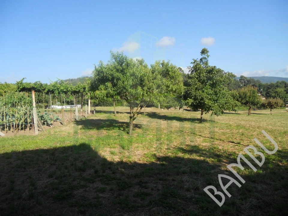 Quinta T4 para Venda em Seixas Foto 28