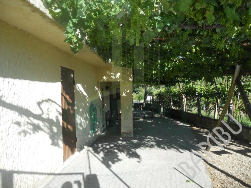 Quinta T4 para Venda em Seixas Foto 33