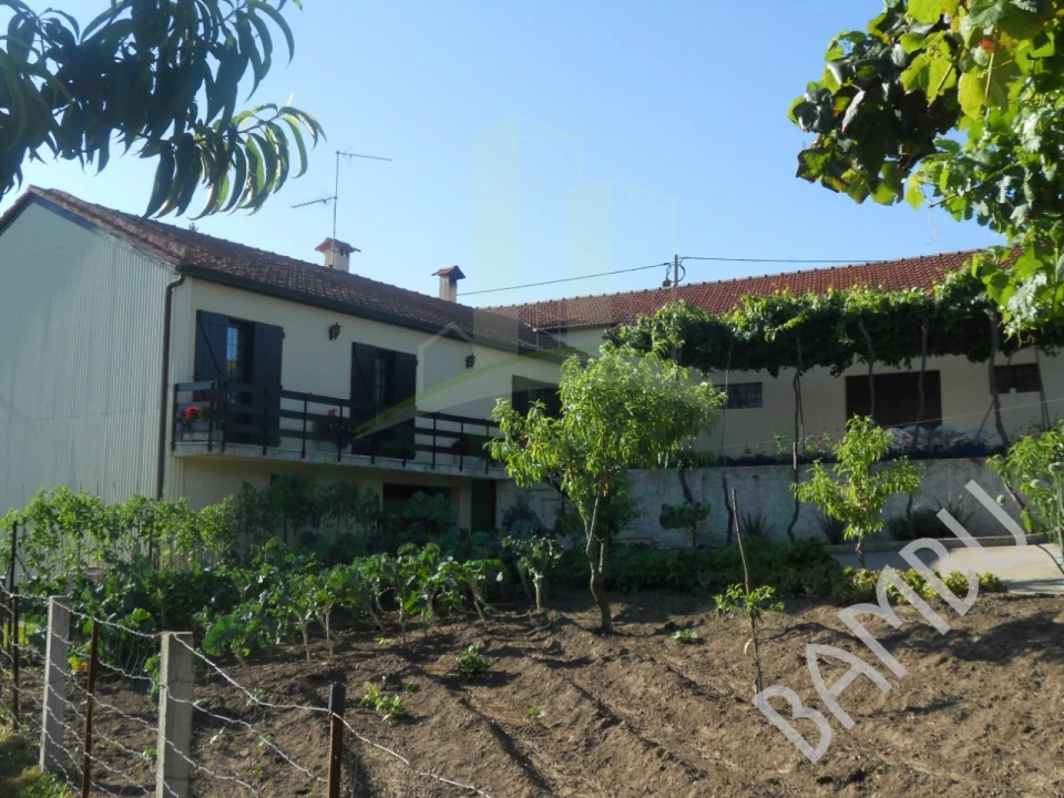 Quinta T4 para Venda em Seixas Foto 37