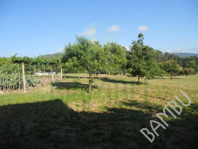 Quinta T4 para Venda em Seixas Foto 28